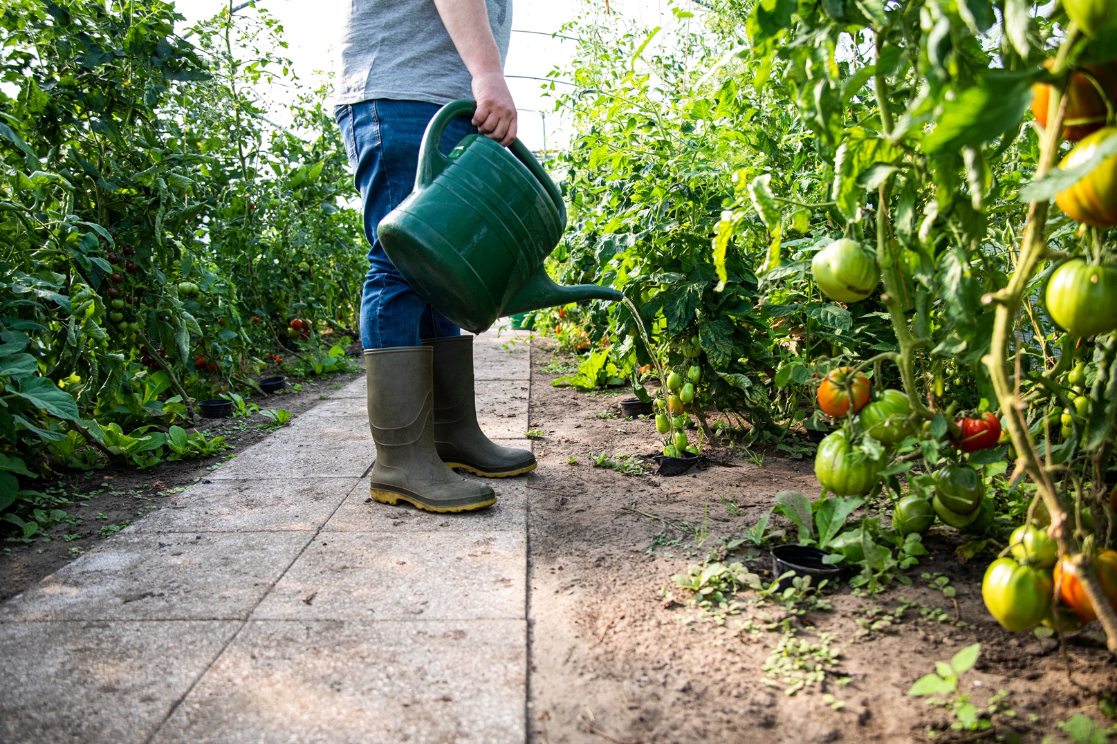 19082020 Zorgboerboerderij Schurinkshoeve_033 – verkleind